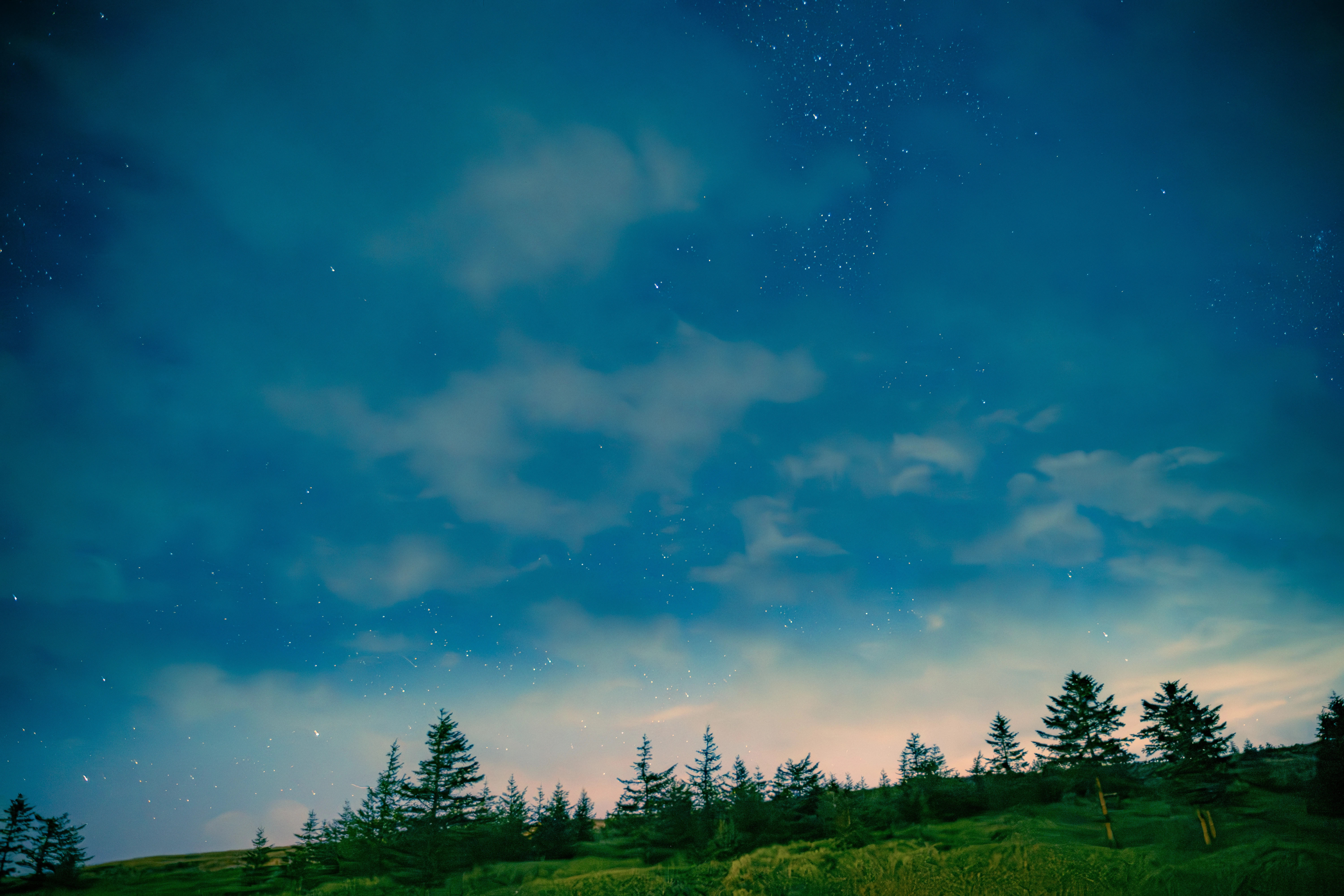 Twilight Sky and Starlit Pines on a Tranquil Meadow